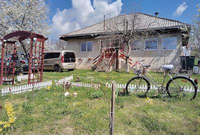 Casă cu 3 camere cu Teren 13000 Mp în Stănița - 6