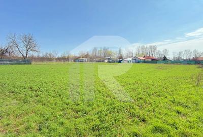 Casă individuală cu 4 camere cu Canalizare în Tătărăștii de Sus - 26