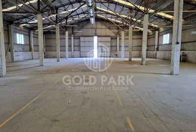 Hala in curs de Renovare-Calea Baciului-Suprafete intre 300-800 mp - 3