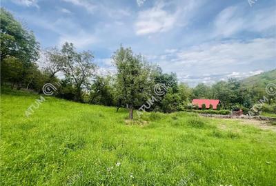 Teren de 1811 mp, în Sibiel - 2