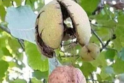 Spațiu comercial, în Docani - 5