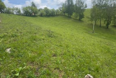 Teren de poveste, intru un sat de poveste Pestera/Moeciu/Brasov - 4