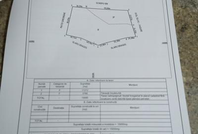 Teren în Central