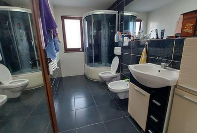 De vanzare Casa Verde P+M, zona Bariera Traian - 5