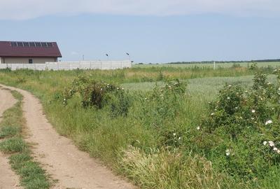 Teren cu vedere la lac Balotesti 600mp - 4
