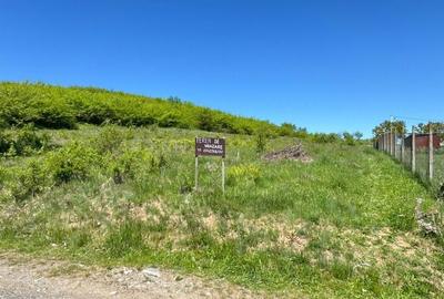 Teren de 900 mp, în Nord-Vest - 7