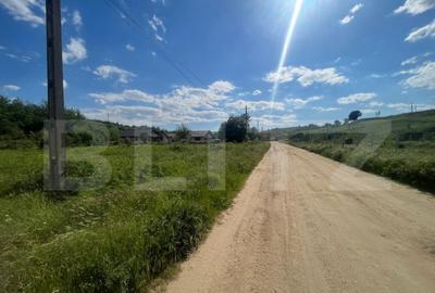 Teren intravilan 800 mp, zona Leamna de Sus - 6