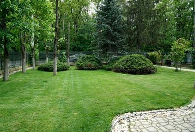 Vila 5 Camere Snagov Vila 5 Camere Snagov - 2