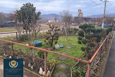 Casă cu 3 camere cu Teren 870 Mp în Văliug - 18