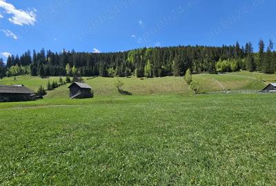 Teren de vanzare in Bucovina zona Pojorata pe Transrarau - 3