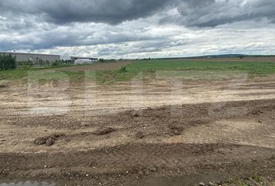 Teren de 8000 mp, în Văcărești