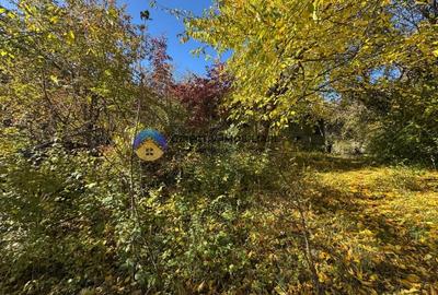 Teren intravilan de vanzare - Piatra Neamt Teren intravilan de vanzare - Piatra Neamt - 9