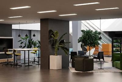 AFI Park Timisoara, Cladirea D, Central, 460 - 1120 mp  0% comision! AFI Park Timisoara, Cladirea D, Central, 460 - 1120 mp  0% comision! - 13