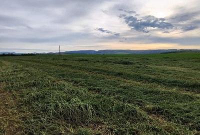 Spațiu comercial, în Central - 3