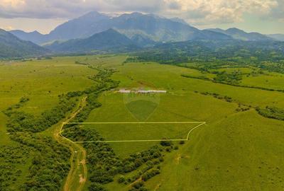 Teren 10,800mp Rasnov / Drumul DN73 - 18