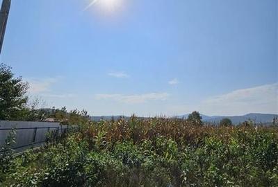 TEREN INTRAVILAN DE VANZARE IN OITUZ JUD. BACAU - 3