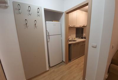 Gara de Nord-Ministerul Transporturilor, inchiriere 2 camere Gara de Nord-Ministerul Transporturilor, inchiriere 2 camere - 19