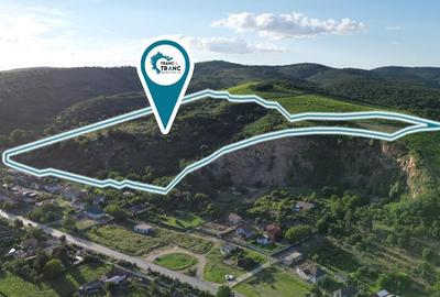 Teren de 6,35 ha, pentru un complex turistic pe dealurile din Paulis - 3