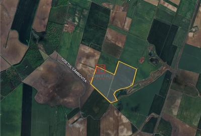 Teren Peris - Crevedia, Ilfov - 4