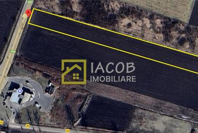Teren intravilan, 8333 mp, la E85, comuna Secuienii Noi, jud - 2