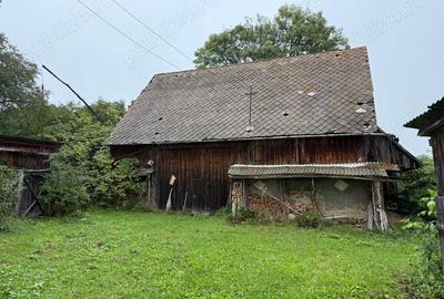 Casă cu 4 camere cu Teren 2300 Mp în Dângău Mare - 3