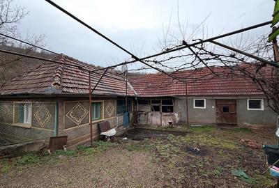 Casă cu 4 camere cu Teren 2846 Mp în Călățea - 10