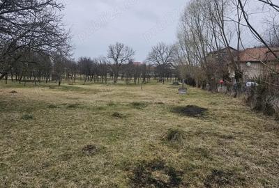 Casa de vanzare in Sat Sacel, Com. Baisoara - 4