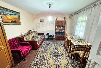 Casa traditionala cu potential de vanzare-HEMEIUS - 14