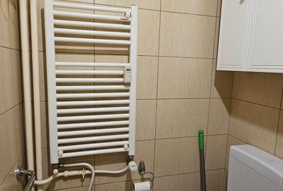 Garsonieră decomandată, mobilată în Bucur Obor - 9