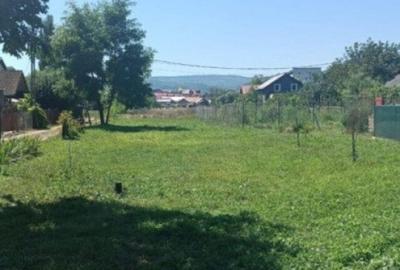 Teren intravilan, 3000 mp, zona centurii Donath Teren intravilan, 3000 mp, zona centurii Donath - 1