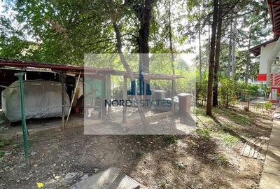 Aeroport Baneasa-Metrou, Apartament in vila, Garaj, Curte, Centrala - 10