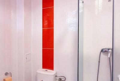 Apartament cu 3 camere decomandat, mobilat în Theodor Pallady - 15