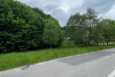 Plaiul Foii, 2.750 mp teren intravilan in zona pitoreasca. - 3