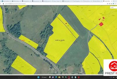 Teren agricol 4.2 ha Nades-Mures 2 euro mp - 4