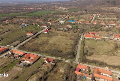 Casă cu 8 camere cu Teren 7235 Mp în Traian Vuia - 10