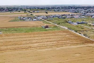 Teren de 500 mp, în Berceni - 6