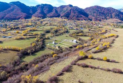 Teren Construcții intravilan de 2500 mp, în Tohănița - 6