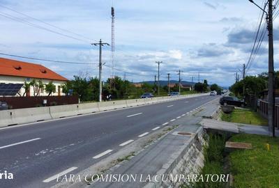 Spațiu comercial, în Stolniceni - 12