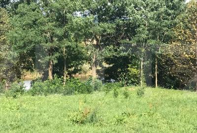 Proprietate cu potential pentru sali evenimente-resort-spa - 2