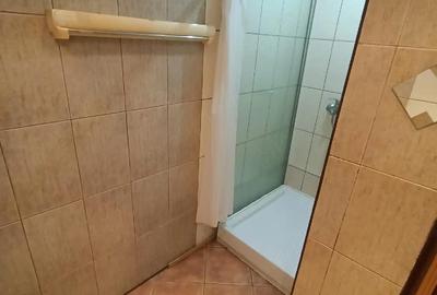 Apartament cu 2 camere semidecomandat în Girocului