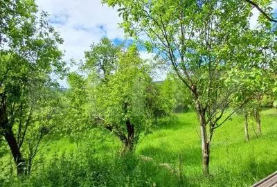 Casă cu 3 camere cu Teren 4873 Mp în Moldovenești - 12