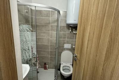 Garsonieră decomandată în Lipovei - 7