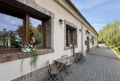 RESTAURANT GYULA | UNGARIA | PANOURI SOLARE | 245 MP |  TERASA PE LAC - 1