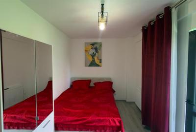 Apartament cu 5 camere decomandat, mobilat în Gheorghe Doja - 10