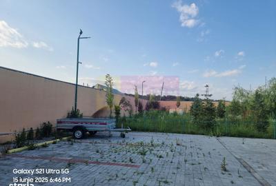 Casă cu 10 camere cu Teren 6000 Mp în Bulbucata - 13