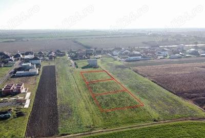 Teren intravilan 700 MP | Strada Careiului Nr. 87 | Loc. Vetis - 6