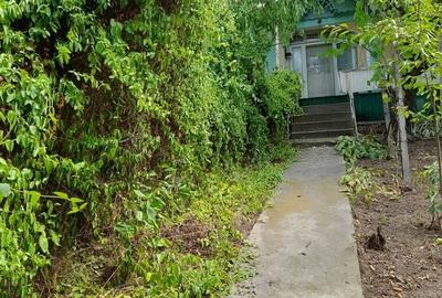 Teren de 3700 mp, în Ciurești - 1