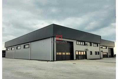 Spațiu comercial, în Domnești - 9