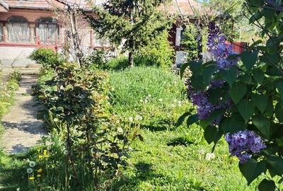 Casă cu 3 camere în Central - 5