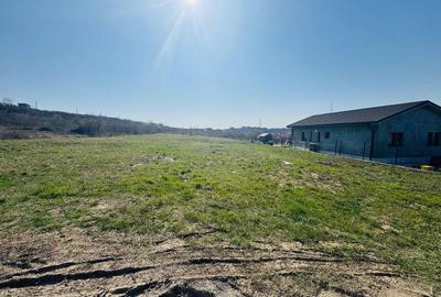 Teren Construcții intravilan de 1000 mp, în Dealuri Oradea - 3